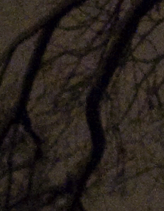 Picture_23