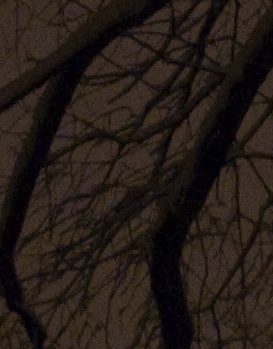 Picture_25