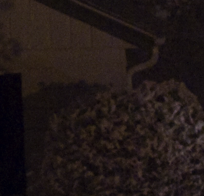 Picture_27