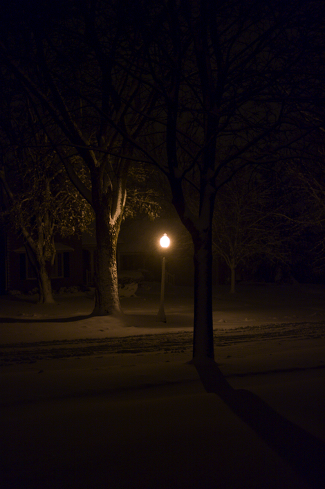 Picture_29