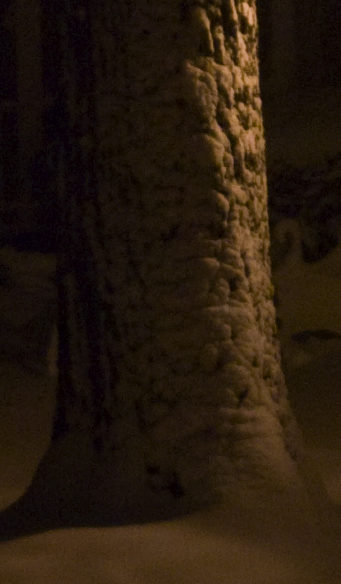 Picture_30