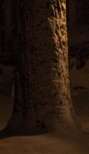 Picture_32