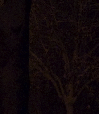 Picture_33