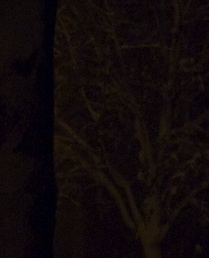 Picture_34