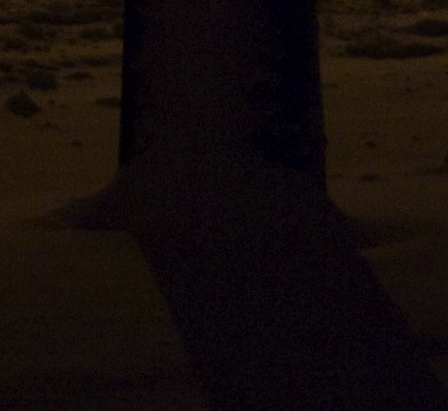 Picture_35