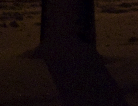 Picture_36