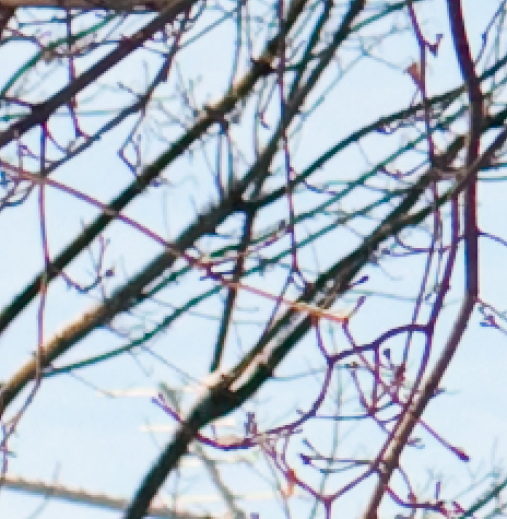 Picture_16